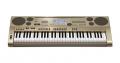 <span>Casio</span> AT-3
