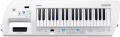 <span>Roland</span> Lucina AX-09 Synthesizer 