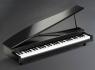 Cliquez pour agrandir <span>Korg</span> microPIANO