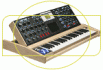 <span>Moog Music</span> Minimoog Voyager Lunar Mapple