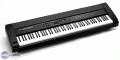 Roland RD-100 