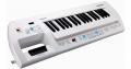 <span>Roland</span> Lucina AX-09 Synthesizer 