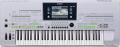 Yamaha Tyros 3