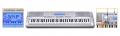 <span>Casio</span> WK-210