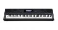 Cliquez pour agrandir <span>Casio</span> WK-6500