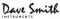 LOGO DSI