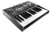 minibrute minibrute
