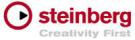 logo steinberg