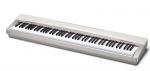 casiopx130we1