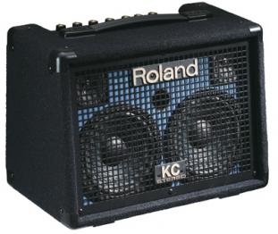 <span>Roland</span> Roland [KC Series] KC-110 