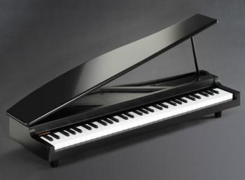Cliquez pour agrandir <span>Korg</span> microPIANO