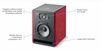 Focal Solo6 - Paire - Stock B - Image n°3