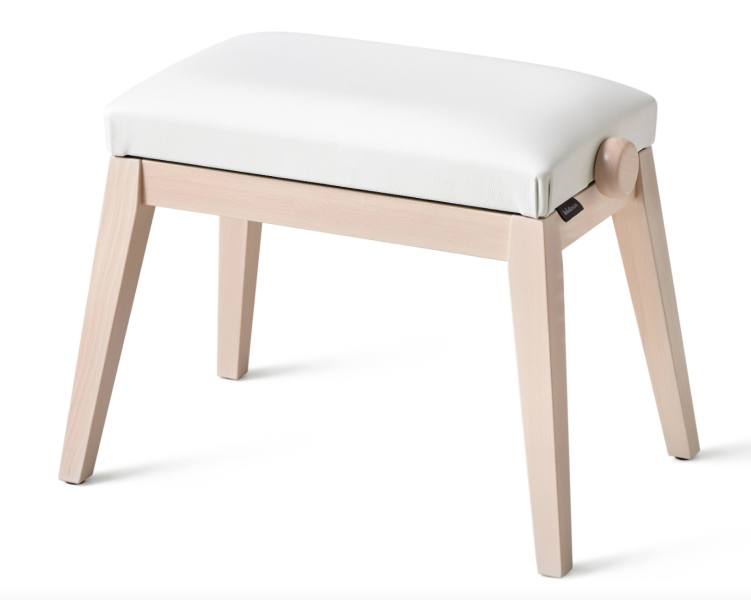 Casio BG50-VINYL-WE - Image principale