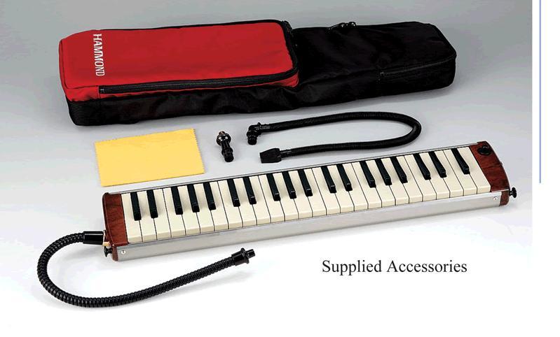 Suzuki hammond melodion
