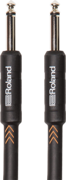 Roland RIC-B20 - Image principale