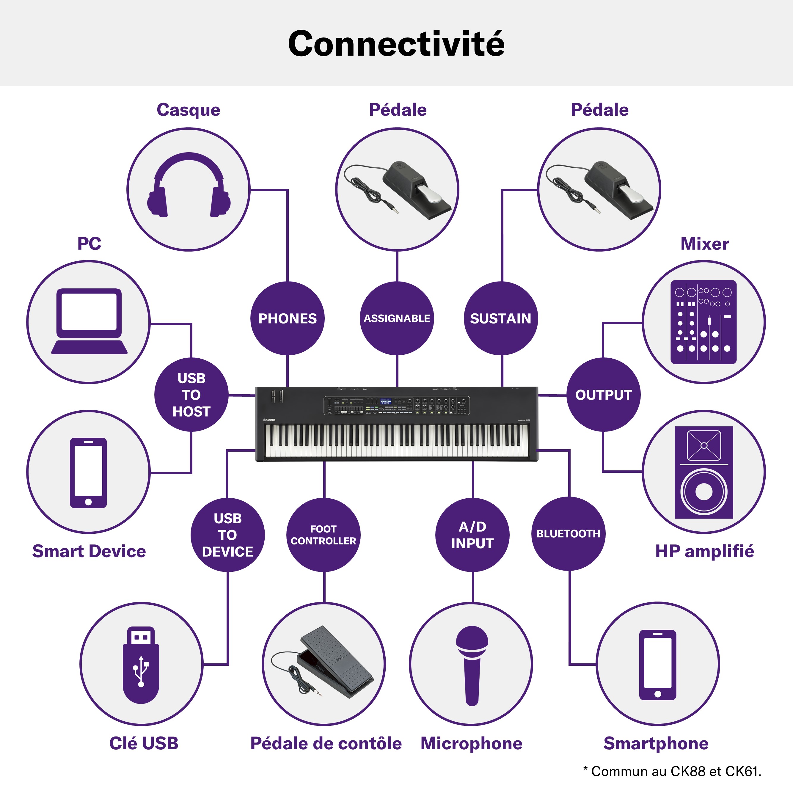 Yamaha - CK61 Clavier de scène : Nantel Musique