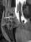 Prodipe BL21 Lanen Contrabass - Image n°3