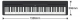 Yamaha P-45  - Image n°4