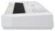 Yamaha P-525 BLANC - Image n°5