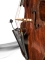 Prodipe BL21 Lanen Contrabass - Image n°2