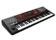 Korg Pa700 Oriental  - Image n°2