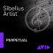 Avid Sibelius Artist Perpetual License - Image n°2