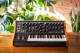 Moog Music  Subsequent 25 - Image n°2
