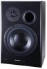 Dynaudio Professional BM15A right