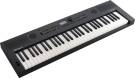 Roland Go:Keys 5