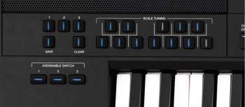 Medeli Dante Zen - Image n°2