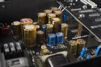 Black Lion Audio Auteur DT - Image n°3