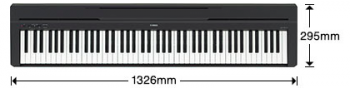 Yamaha P-45  - Image n°3
