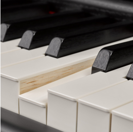 Yamaha P-515 B - Image n°2
