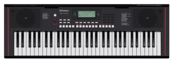 Roland E-X10 - Image n°1