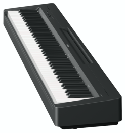 Yamaha P-145 - Image n°3