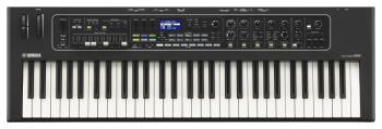 Yamaha CK 61 - Image n°1