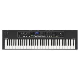 Yamaha CK 76 - Image n°1
