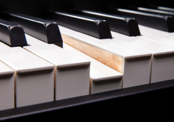 Roland Fantom 8 EX - Image n°3