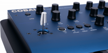 Modal Electronics COBALT8 - Image n°3