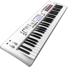 Korg Kross 2-61 WH - Image n°2