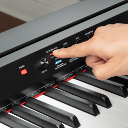 Alesis Prestige - Image n°3