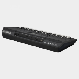 Yamaha PSR-SX900 - Image n°2