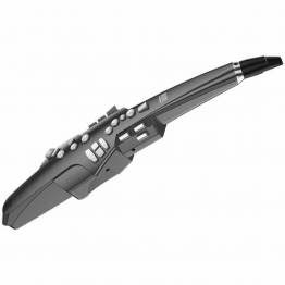 Roland Aerophone AE-10G - Image n°1