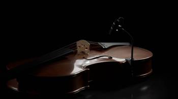 DPA Microphones 4099 Violin - Image n°3